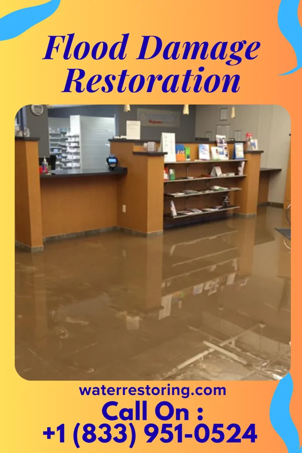 Flood Damage Restoration in Oak Hill, MI