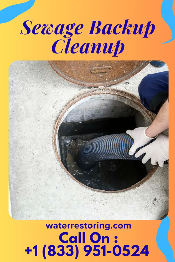 Sewage Backup Cleanup in Oak Hill, MI