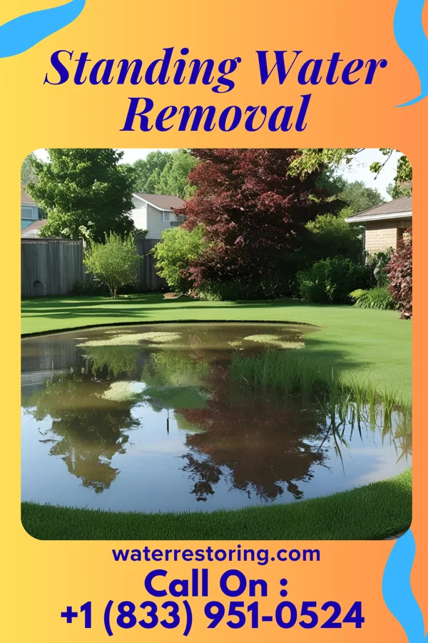 Standing Water Removal in Oak Hill, MI